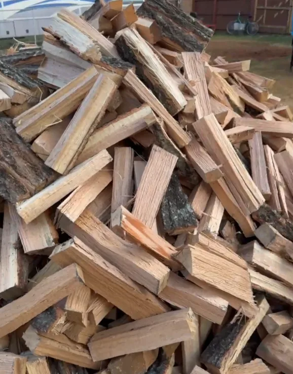 Neatly cut and stacked wood after a tree removal job