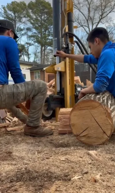 Well Done Tree Service crew grinding down a tree stump