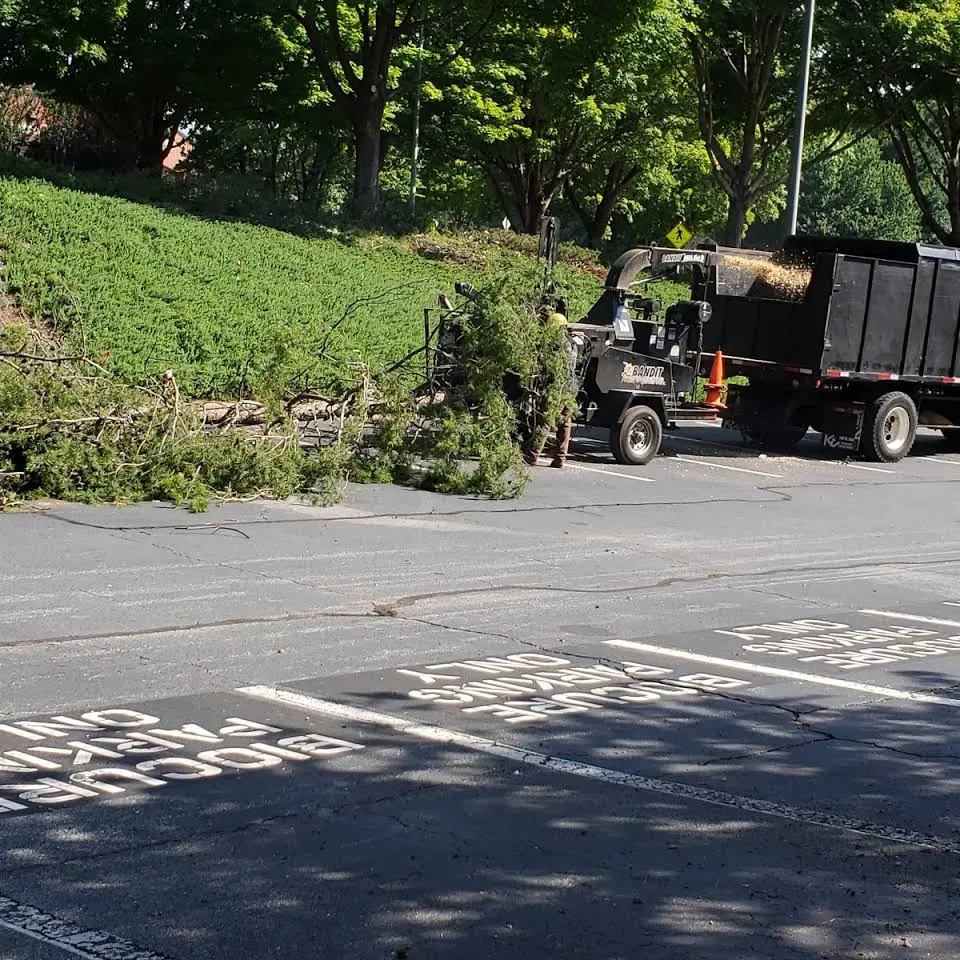 Well Done Tree Service crew feeding downed limbs into a chipper beside a closed road