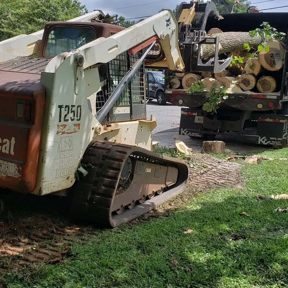 Skid steer loading cut logs onto a Well Done Tree Service truck while clearing a lot